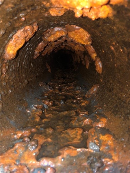 Alma Before Cleaning